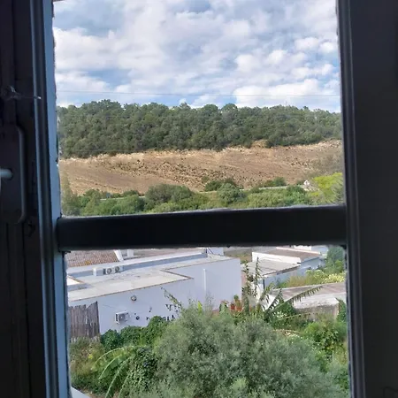 Ave Ibis Eremita Vejer Lägenhet