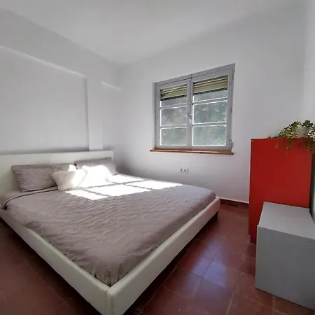 Ibis Eremita Vejer *
