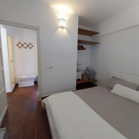 Ave Ibis Eremita Vejer * Cádiz