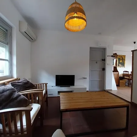 Ave Ibis Eremita Vejer