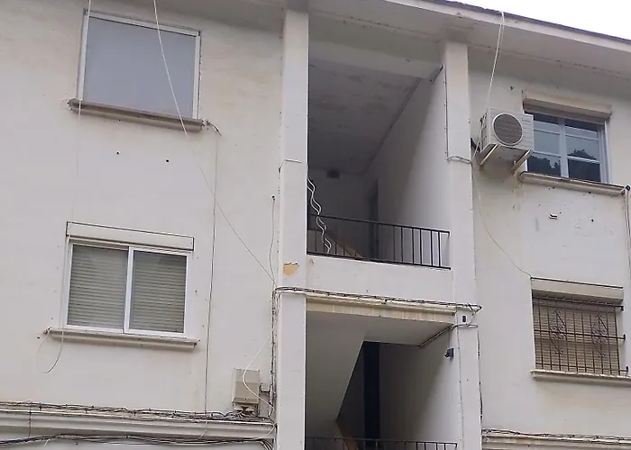 Ave Ibis Eremita Vejer 加的斯