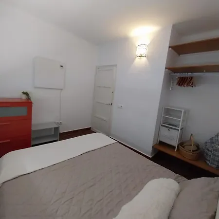 Ave Ibis Eremita Vejer * Cádiz