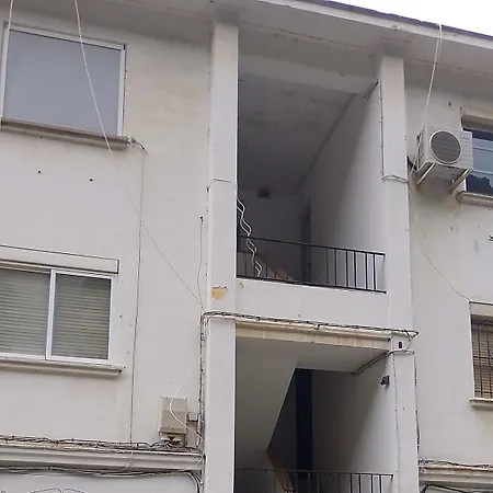 Ave Ibis Eremita Vejer Cádiz